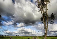 英冠南安普敦vs普雷斯顿最新情况如何?