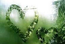 香港六合彩网站是否合法可靠?