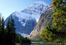 欧冠ds足球是什么?它能为球迷带来哪些独特体验?